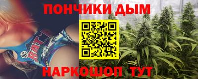 сатива Гай