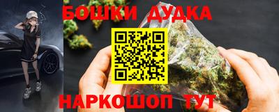 сатива Гай