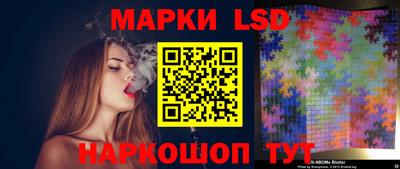 стаф Гатчина