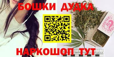 сатива Гай