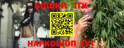 стаф Гатчина