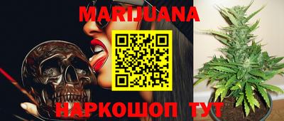 стаф Гатчина
