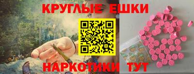 стаф Гатчина