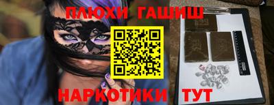 стаф Гатчина