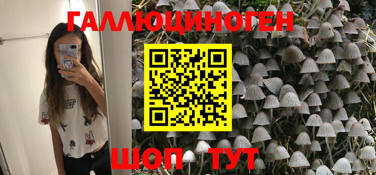 Галлюциногенные грибы Cubensis Донецк