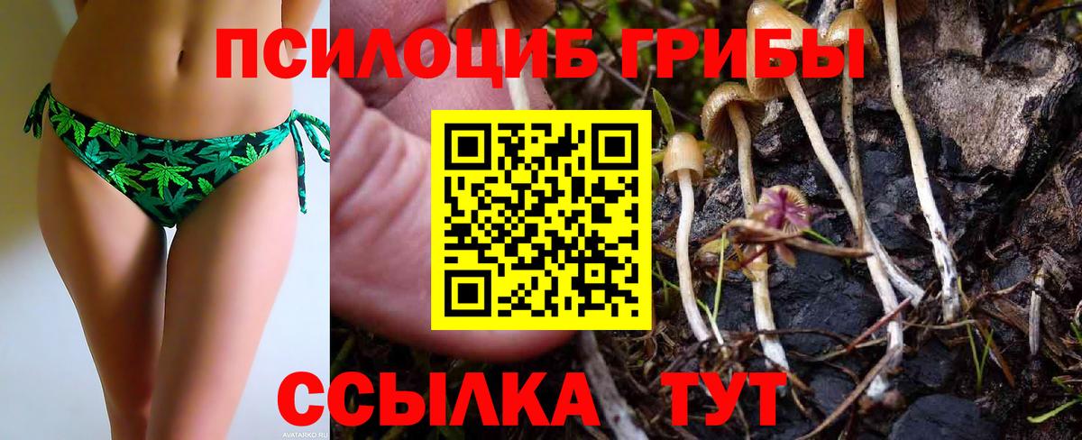 Галлюциногенные грибы GOLDEN TEACHER  Вход с VPN  Донецк  Псилоцибиновые грибы Psilocybe 